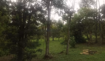 Terreno em Excelente Condomínio  -  Itapecerica da Serra