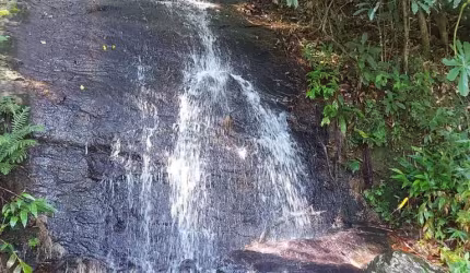 Terreno à venda em Pindamonhangaba, Bom Sucesso, 20000m²