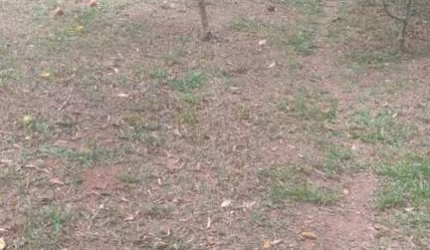 Terreno em condomínio fechado com 1.000 m2 em Atibaia SP.