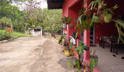 VENDO EXCELENTE CHÁCARA COM 1 HECTARES