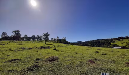 Sitio para venda na região de Itirapua-SP, com 11 alqueires montada na pecuária, pode plantar 9 alqueires, tem altitude para café, benfeitorias e bom