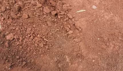 Fazenda para venda na região de Batatais-SP, com 169  alqueires sendo 100 alqueires em cana arrendada, rica em agua