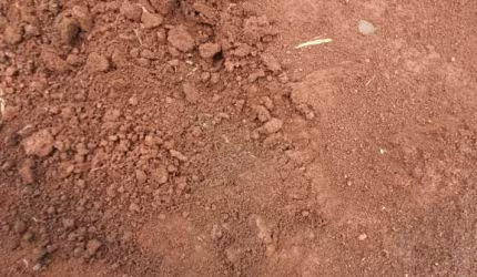 Fazenda para venda na região de Batatais-SP, com 169  alqueires sendo 100 alqueires em cana arrendada, rica em agua