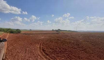 Fazenda para venda na região de Porto Ferreira-SP, com 90 alqueires sendo 58 alqueires em cana arrendada, aproveitamento 76%, boa de agua e benfeitori