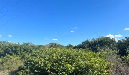 Oportunidade. Fazenda para venda na região de Avelino Lopes-PI com 8.900 hectares, fora do Parque, ideal para reserva e frutas como caju e etc