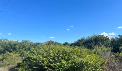 Oportunidade. Fazenda para venda na região de Avelino Lopes-PI com 8.900 hectares, fora do Parque, ideal para reserva e frutas como caju e etc