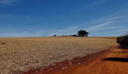 Fazenda para venda na região de Franca-SP com 430 alqueires sendo 320 alqueires em cana arrendada, pode plantar soja, boa de agua