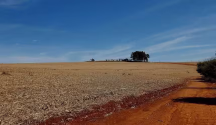 Fazenda para venda na região de Franca-SP com 430 alqueires sendo 320 alqueires em cana arrendada, pode plantar soja, boa de agua