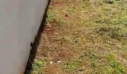 Ótimo terreno de esquina para venda em Jardinopolis-SP no Jardim das Aroeiras, com 222 m2, pronto para construir, terreno plano ja com vizinho