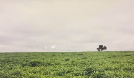 Fazenda para venda na região de Ituiutaba-MG com 200 hectares sendo 185 hectares em cana arrendada, plana, boa altitude, corrego na divisa, proxima da