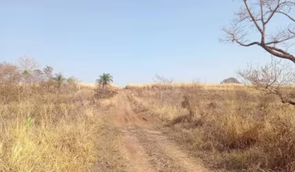Fazenda para venda na região de Barretos-SP, com 131 alqueires, pode plantar 90 alqueires em cana arrendada, divisa com Rio