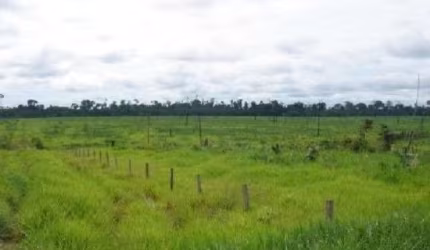 Fazenda grande extensão a venda na região de Aripuana-MT com 141.000 hectares sendo 13.000 hectares em pastagem, rica em agua e benfeitorias
