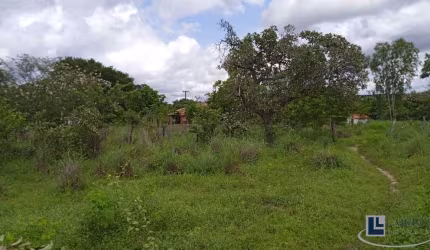 Sitio dupla aptidão para venda em Floriano-PI com 70,5 hectares, atual na pecuária, terra boa para lavoura, beira do asfalto, benfeitorias, agua