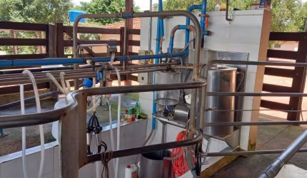Sitio para venda na região de Barretos-SP com 6,25 alqueires em pastagem, curral, piquetes, benfeitorias, poço artesiano e córrego na propriedade