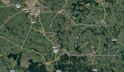Sitio para venda em Santa Rosa de Viterbo-SP com 4,25 alqueires em eucalipto próprio, topografia com declive, ótima localização
