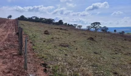 Sitio para venda em Santa Rosa de Viterbo-SP com 5,65 alqueires em pastagem, curral simples, pode plantar 3,5 alqueires