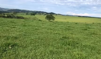 Fazenda para venda na região de Marilia-SP com 225 alqueires montada na pecuária, beira da rodovia
