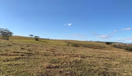 Fazenda dupla aptidão para venda na região de Marilia-SP com 125 alqueires montada na pecuária, planta 80 alqueires, varias benfeitorias, beira da pis