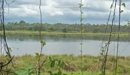 Fazenda para venda na regiao Manoel Emidio-PI com 1.650 hectares, fazenda bruta, sem área consolidada