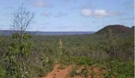 Fazenda para venda na região de Formosa do Rio Preto-BA com 12.500 hectares, logística excelente, região nobre para lavoura