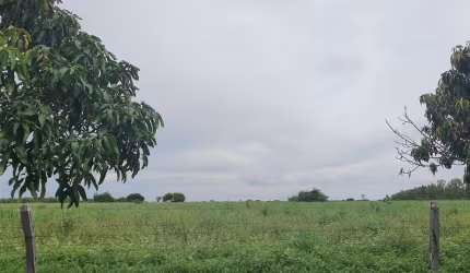 Fazenda dupla aptidão para venda na região de Morpara-BA com 11.500 hectares, atual na pecuária, rica em agua, muitas benfeitorias, porteira fechada