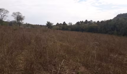 Fazenda para venda na região de Rochedo-MS com 210 hectares em braquiara, rica em agua com 2 corregos, sem benfeitorias