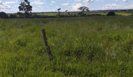 Fazenda para venda na região de Iturama-MG com 992 hectares montada na pecuária, benfeitorias, rica em agua, pode rodar pivo