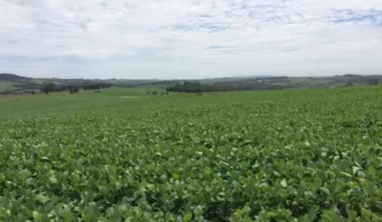 Fazenda para venda na região de Itapetininga-SP com 47 alqueires sendo 40 alqueires plantados em soja, boa de agua, córrego na propriedade