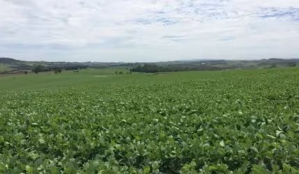 Fazenda para venda na região de Itapetininga-SP com 47 alqueires sendo 40 alqueires plantados em soja, boa de agua, córrego na propriedade