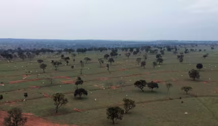 Fazenda para venda na região de Amambai-MS com 870 hectares na pecuária, toda formada, benfeitorias