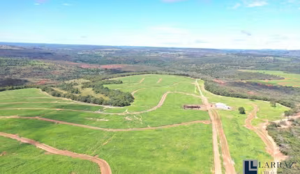 Fazenda para venda na região de Guiratinga-MT com 380 hectares em pastagem, rica em agua, benfeitorias e beira do asfalto