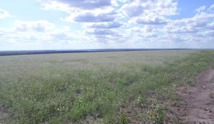 Fazenda para venda na regiao de Bom Jesus-PI com 1.299  hectares, sendo 200 hectares abertos para lavoura, benfeitorias