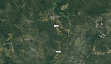 Fazenda grande extensão para venda na região de Morro Cabeça no Tempo-PI com 4.900 hectares em vegetação nativa, fazenda bruta