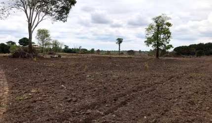 Fazenda para venda em Peixe-TO com 122,23 hectares em pastagem formada, beira de rio, casa, energia, curral e muita madeira