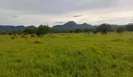 Fazenda dupla aptidão para venda na região de Centenario-TO com 3.100 hectares, aproveita 1.500 hectares para lavoura, boa de agua, benfeitorias