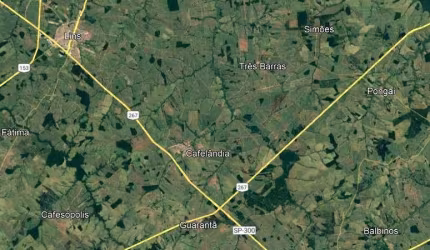 Fazenda na pecuária para venda na região de Cafelândia-SP com 105 alqueires boa de infraestrutura é boa de água