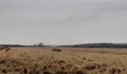 Fazenda para pecuária a venda na região de Fernandópolis-SP com 102 alqueires em pastagem, benfeitorias, represa e poço artesiano