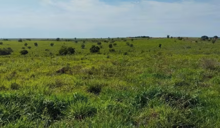 Fazenda para venda na região de Sonora-MS com 342 alqueires montada na pecuária, rica em agua e benfeitorias