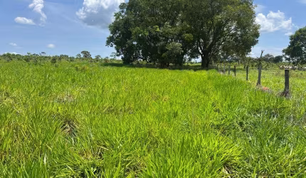 Fazenda dupla aptidão para venda na região de Campo Grande-MS com 163 alqueires, atual na pecuária, rica em agua, ideal para lavoura de soja