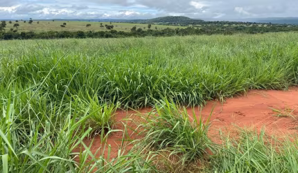 Fazenda dupla aptidão para venda na região de Cassilandia-MS com 128 alqueires, aproveitamento 118 alqueires, montada na pecuária