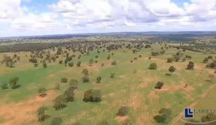 Ótima fazenda na pecuaria para venda em Itaruma-GO com 503 hectares, benfeitorias, boa de agua e topografia plana