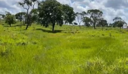 Sitio para venda em Campina Verde-MG com 61 hectares na pecuária, muito bom de agua e benfeitorias