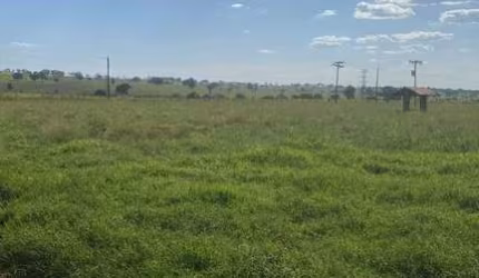 Fazenda dupla aptidao para venda na região de Jales-SP com 90 alqueires na pastagem, planta 80 alqueires, benfeitorias