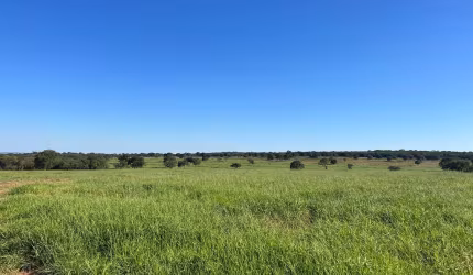Fazenda para venda na região de Inocencia-MS com 98 alqueires na pecuária, boa de agua e de benfeitorias