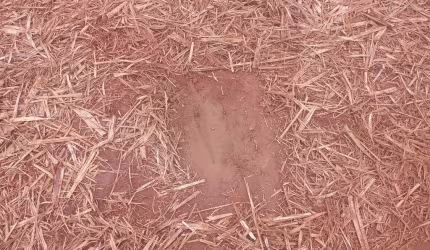 Sitio para venda na região de Ribeirão Preto-SP com 18 alqueires sendo 16 alqueires em cana arrendada, terra vermelha, boa de agua, beira da rodovia