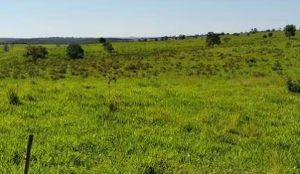 Fazenda para venda na região de Camapua-MS com 940 hectares na pecuária, rica em agua e completa em benfeitorias