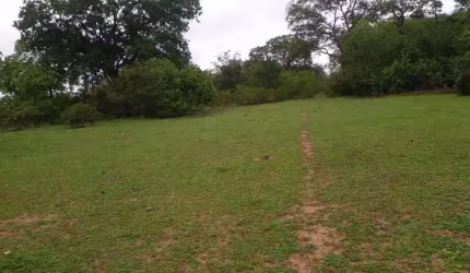 Fazenda bruta para venda na região de Barreiras do Piaui-PI com 1.050 hectares, rica em agua, beira de Rio, bioma Cerrado