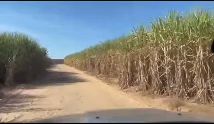 Fazenda para venda na região de Brotas-SP com 390 alqueires sendo 280 alqueires em cana arrendada, rica em agua, beira do asfalto