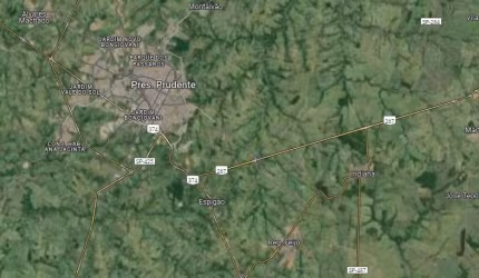 Fazenda para venda na região de Presidente Prudente-SP com 48 alqueires montada na pecuária, benfeitorias