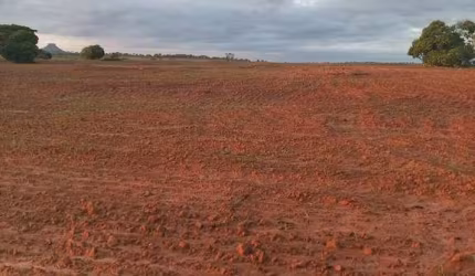 Fazenda dupla aptidao para venda na região de Barra do Garças-MT com 990 hectares, montada na pecuária, rica em agua e benfeitorias